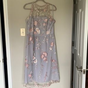 Ladies summer dress